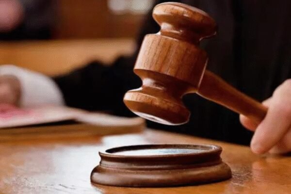 Can legislative committees interfere in Revenue deptt work? | India News
